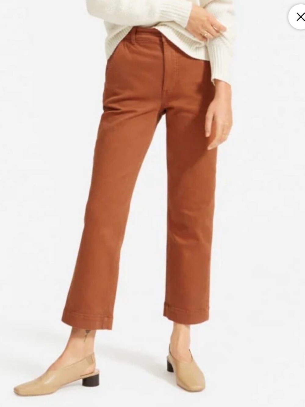 Everlane Cropped Straight Pants in Rust